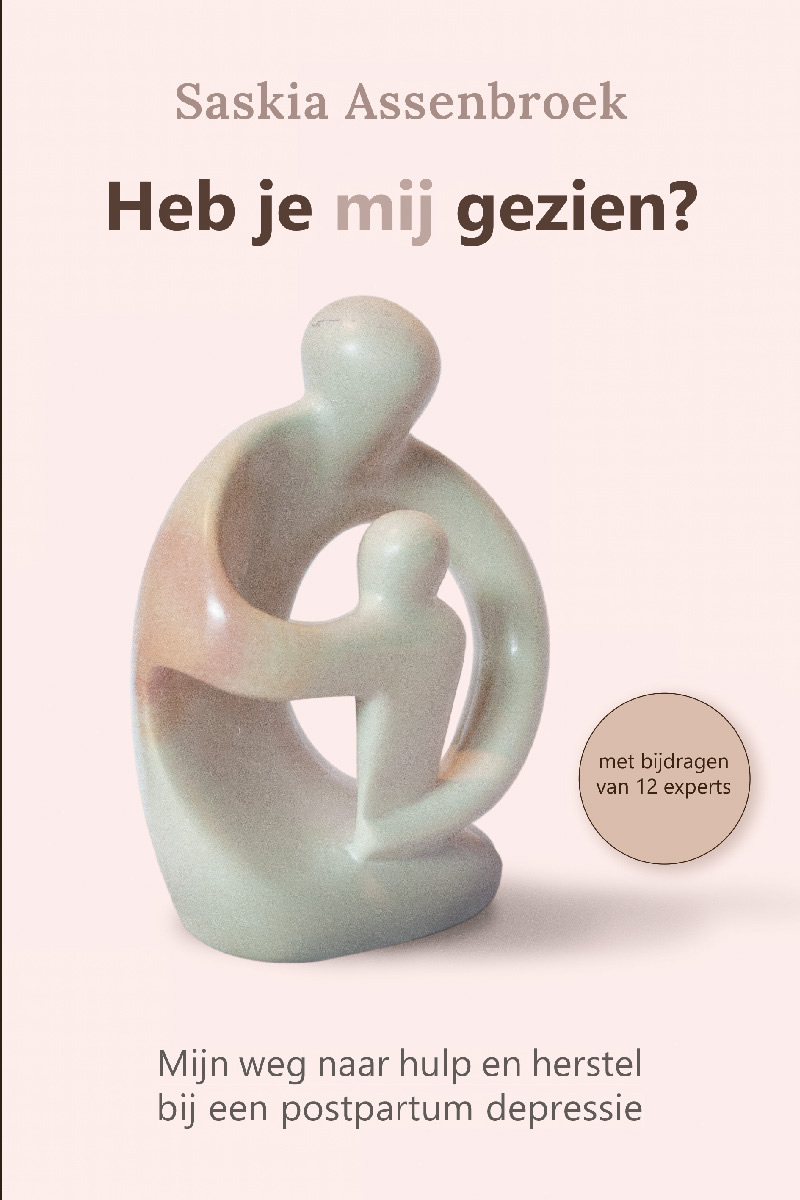 afbeelding cover boek 'Heb je mij gezien?'